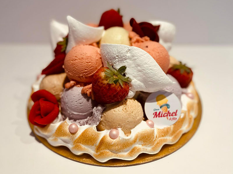 40_Glaces_Michel_et_fils_Gateau_glacier_sorbet_Tournai_Antoing_Brunehaut_Templeuve_Rumes