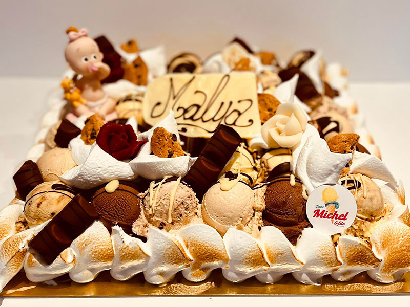 42_Glaces_Michel_et_fils_Gateau_glacier_sorbet_Tournai_Antoing_Brunehaut_Templeuve_Rumes