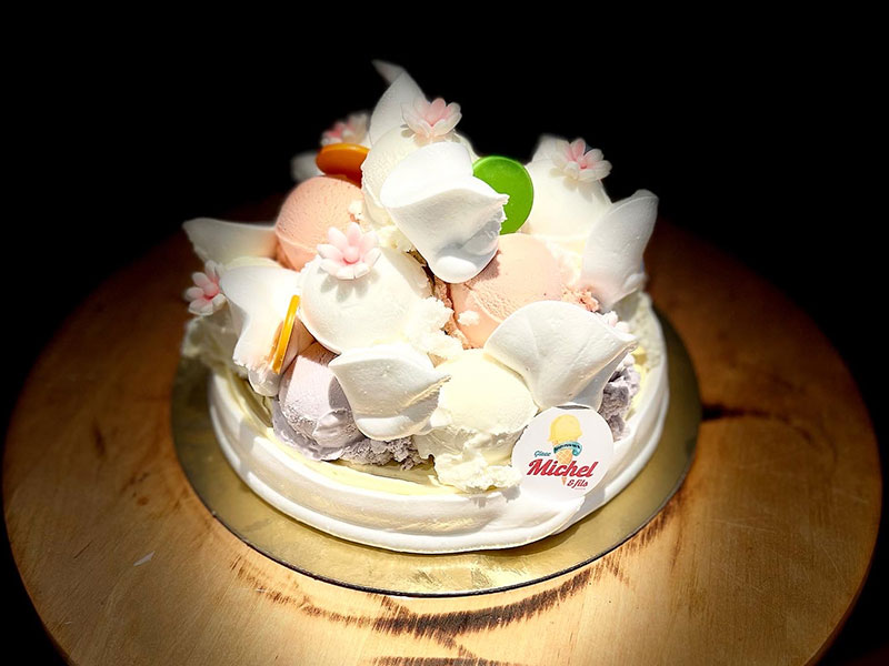 43_Glaces_Michel_et_fils_Gateau_glacier_sorbet_Tournai_Antoing_Brunehaut_Templeuve_Rumes