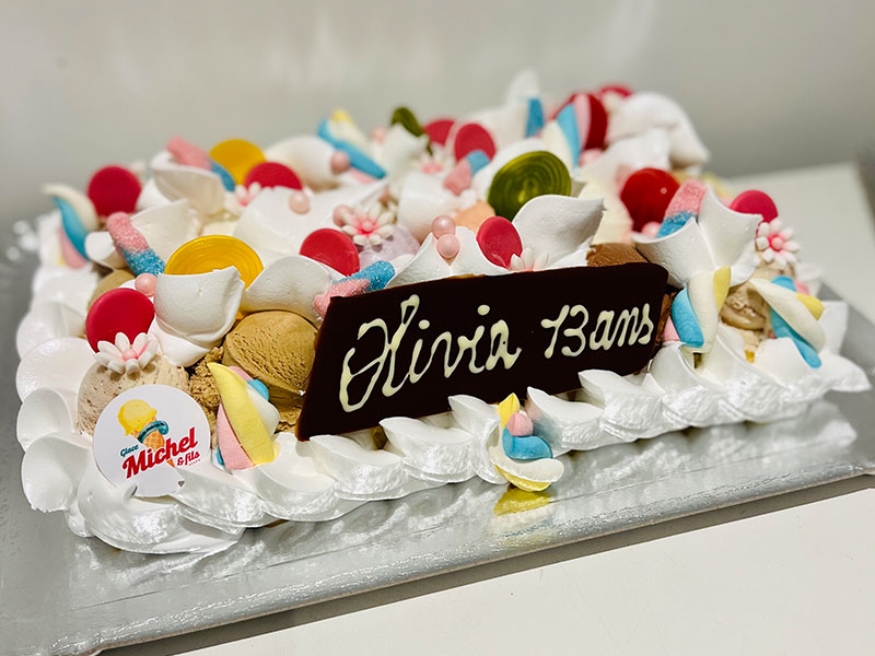 48_Glaces_Michel_et_fils_Gateau_glacier_sorbet_Tournai_Antoing_Brunehaut_Templeuve_Rumes