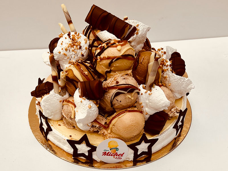 54_Glaces_Michel_et_fils_Gateau_glacier_sorbet_Tournai_Antoing_Brunehaut_Templeuve_Rumes