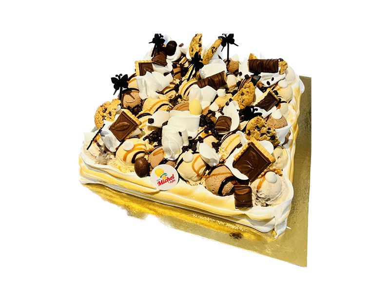 52_Glaces_Michel_et_fils_Gateau_glacier_sorbet_Tournai_Antoing_Brunehaut_Templeuve_Rumes