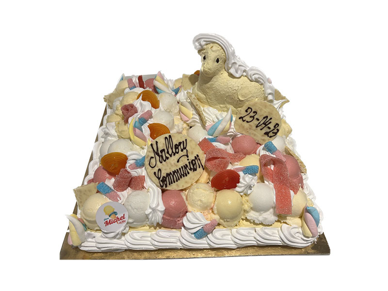 53_Glaces_Michel_et_fils_Gateau_glacier_sorbet_Tournai_Antoing_Brunehaut_Templeuve_Rumes