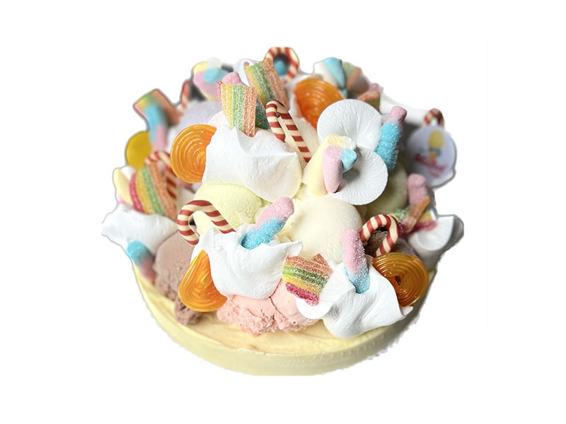55_Glaces_Michel_et_fils_Gateau_glacier_sorbet_Tournai_Antoing_Brunehaut_Templeuve_Rumes