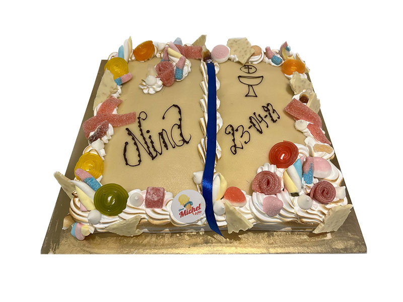 56_Glaces_Michel_et_fils_Gateau_glacier_sorbet_Tournai_Antoing_Brunehaut_Templeuve_Rumes