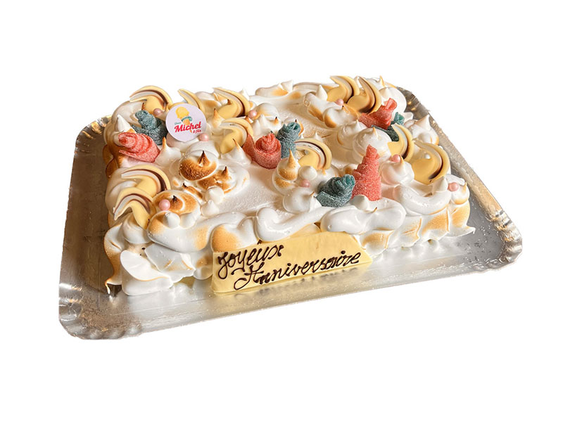 57_Glaces_Michel_et_fils_Gateau_glacier_sorbet_Tournai_Antoing_Brunehaut_Templeuve_Rumes