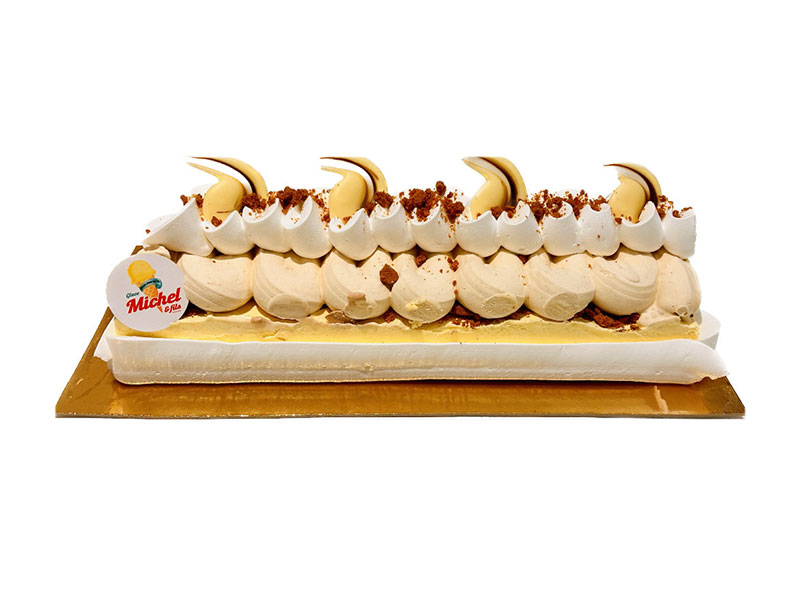 58_Glaces_Michel_et_fils_Gateau_glacier_sorbet_Tournai_Antoing_Brunehaut_Templeuve_Rumes