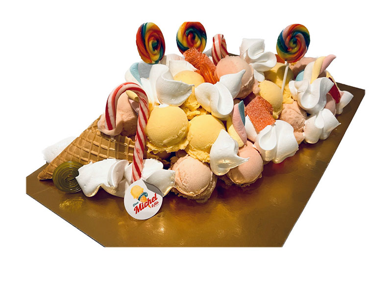 60_Glaces_Michel_et_fils_Gateau_glacier_sorbet_Tournai_Antoing_Brunehaut_Templeuve_Rumes
