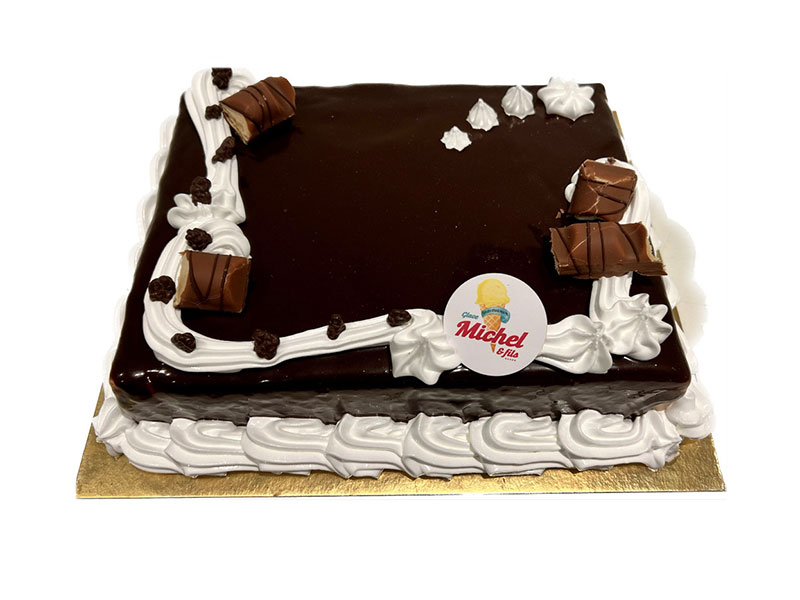 61_Glaces_Michel_et_fils_Gateau_glacier_sorbet_Tournai_Antoing_Brunehaut_Templeuve_Rumes